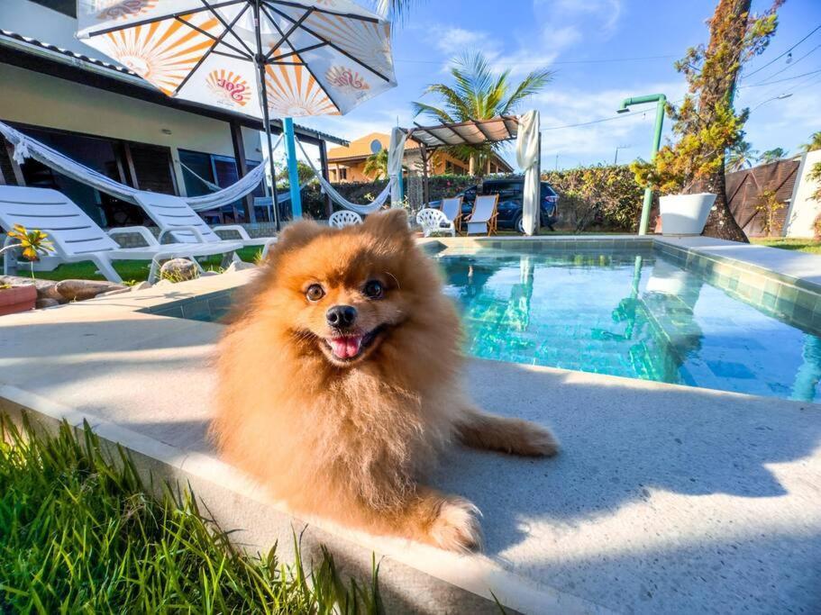 Reserva Do Paiva - A Melhor Casa Para Temporada Recife Buitenkant foto
